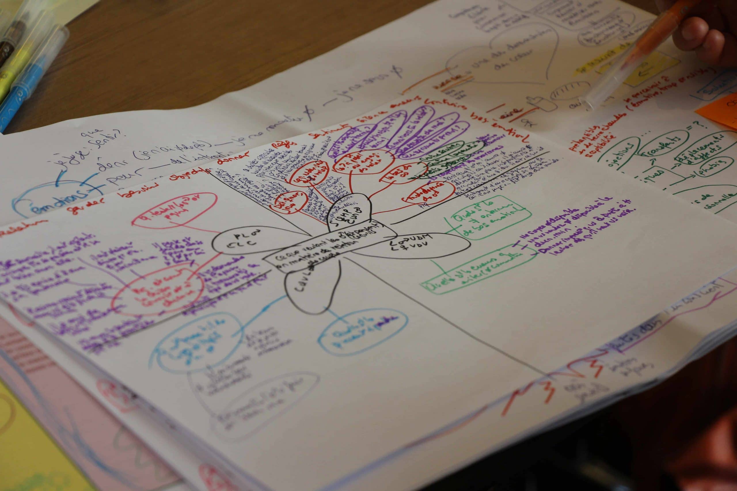 IMG_1084 Mind map
